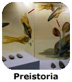 Museo della preistoria e protostoria